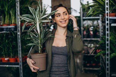 Planten: Keep it simple